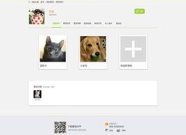 狗狗能不能吃虾（爱宠网）