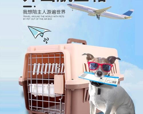 活体托运的快递公司？（宠物托运公司）