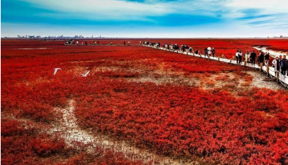 盘锦红海滩_盘锦红海滩好玩吗