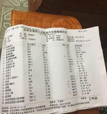 谷氨酰转肽酶正常标准值是多少 谷氨酰转肽酶偏低6