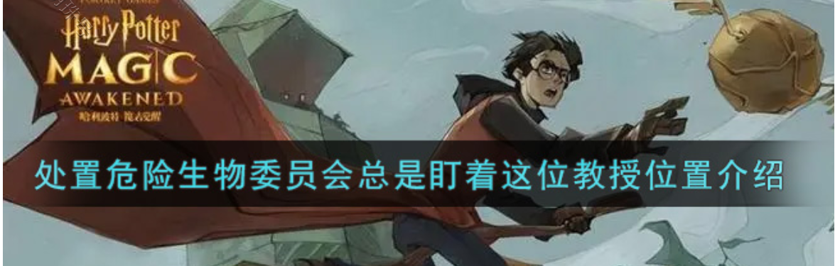 外置危险生物委员会总是盯着_处置危险生物委员会总是盯着