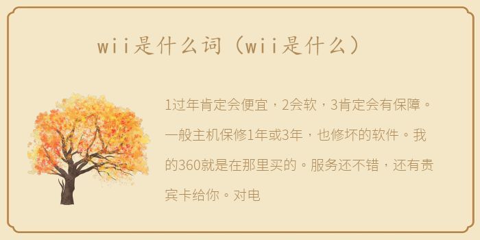 wii是什么词（wii是什么）