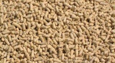 猪饲料分类及特点_猪饲料分类