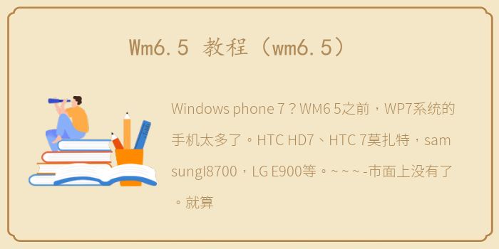 Wm6.5 教程（wm6.5）