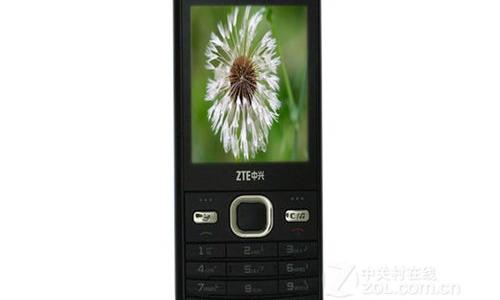 电视机突然没有图像和声音连指示灯都没有了（中兴r519c）