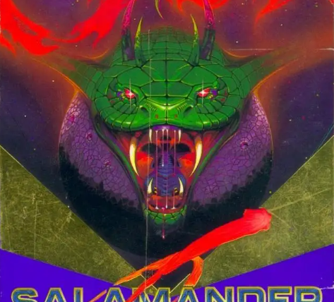 FC加纳战机秘籍_fc加纳战机