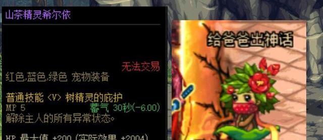 宠物黑炭头属性_宠物黑炭头