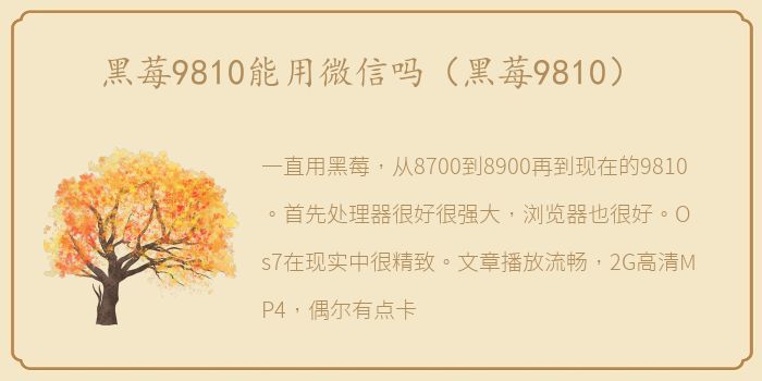 黑莓9810能用微信吗（黑莓9810）