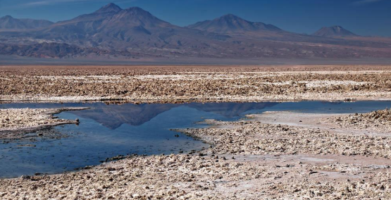 阿塔卡玛盐湖面积_阿塔卡玛盐湖