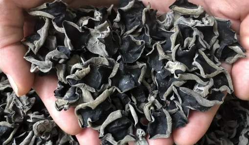 干黑木耳多少钱一斤_黑木耳的价格