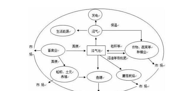 中国的农业生产方式_农业生产方式