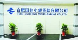 小额信贷公司排名前十_小额信贷公司排名