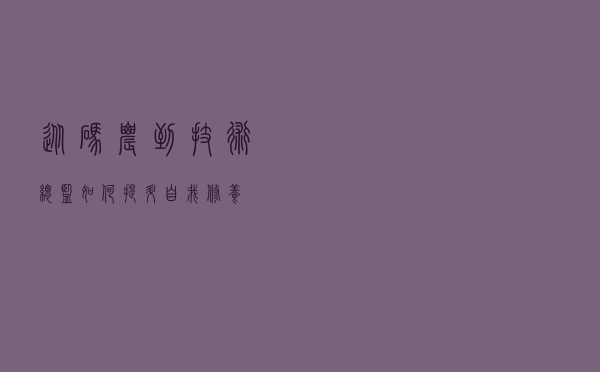 从码农到技术总监，如何提升自我修养？