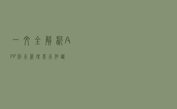 一文全解析——APP版本管理基本知识