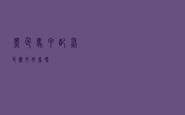 黑色马甲配灰色卫衣好看吗