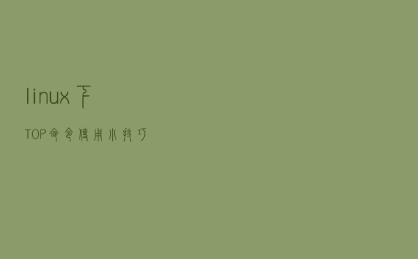 linux下TOP命令使用小技巧