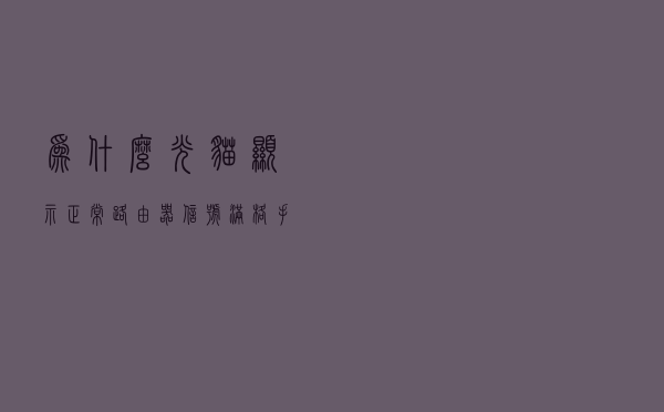 为什么光猫显示正常，路由器信号满格，手机就是上不了网？