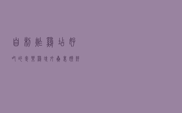 自制炸鸡店好吃的麦乐鸡块，外焦里嫩，鲜嫩多汁，吃一口就会爱上