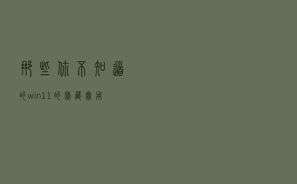 那些你不知道的win11的宝藏实用功能