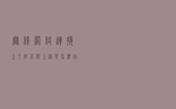无线网络连接上了但不能上网是怎么回事