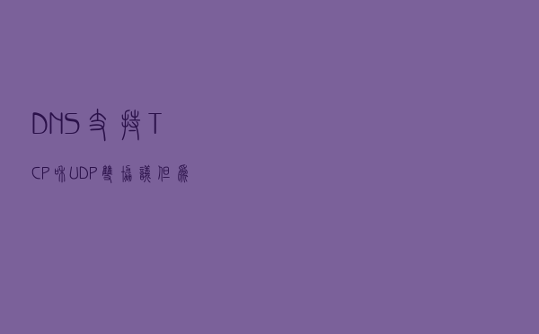 DNS 支持 TCP 和 UDP 双协议，但为何偏偏只钟情 UDP？