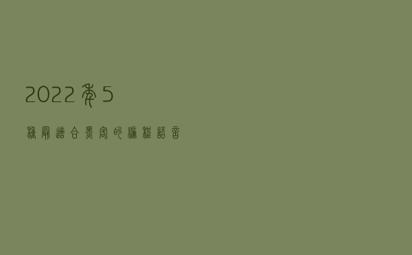 2022年5种最适合黑客的编程语言