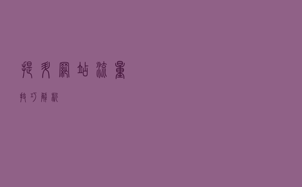 提升网站流量技巧解析
