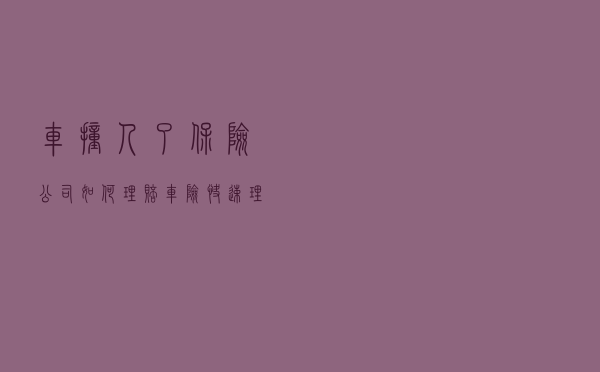 车撞人了保险公司如何理赔，车险快速理赔流程