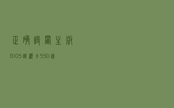 正确设置主板BIOS 让显卡SSD速度起飞