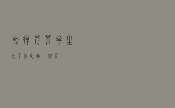 凉拌芹菜花生米,下酒必备小凉菜