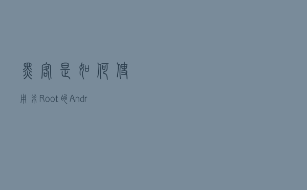黑客是如何使用未Root的Android手机扫描网站漏洞