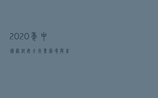 2020年中国网络安全行业困境与前景分析