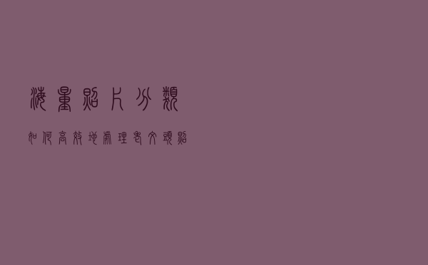 海量照片分类如何高效地处理 老文头照片整理工具帮你解决