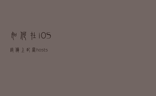如何在 iOS 设备上配置 hosts