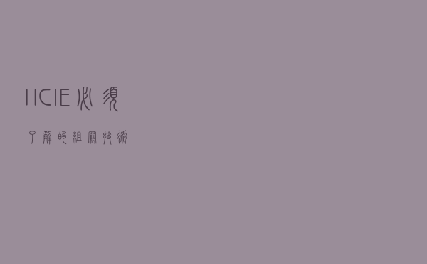 HCIE必须了解的组网技术