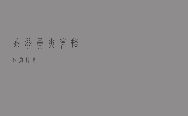 飞行员夹克搭配图片男