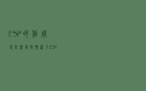 ESP的作用是什么？有些情况下，ESP也需要关闭