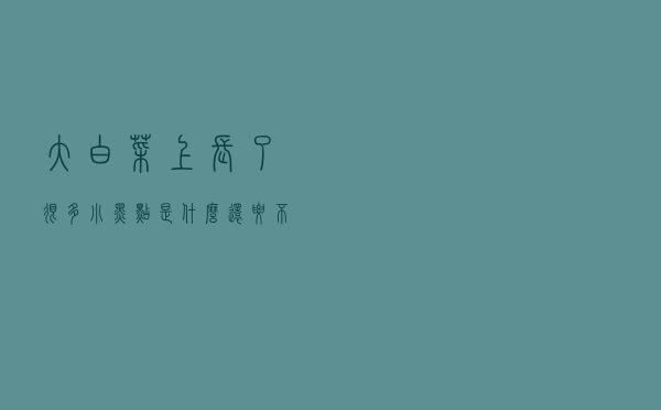 大白菜上长了很多“小黑点”是什么？还要不要吃？告诉你正确做法