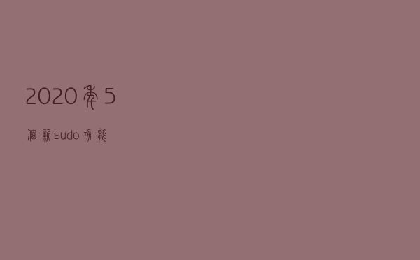2020 年 5 个新 sudo 功能
