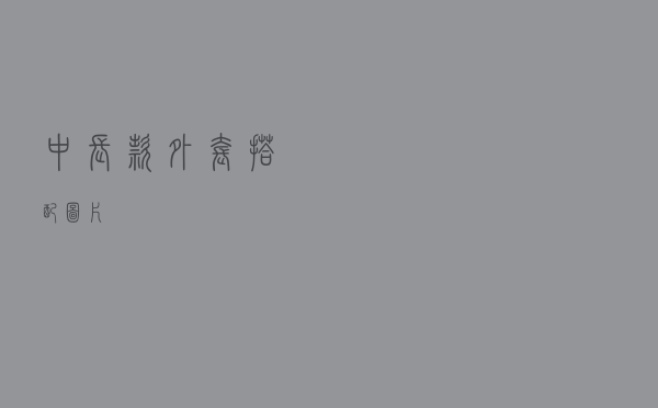 中长款外套搭配图片