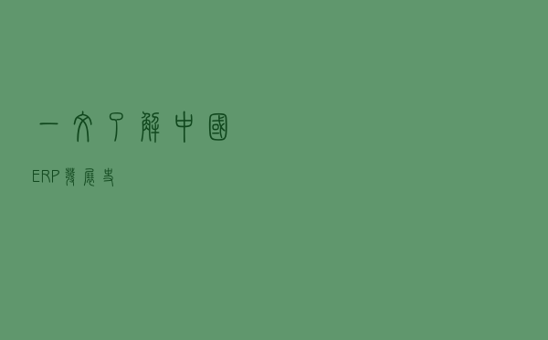 一文了解中国ERP发展史