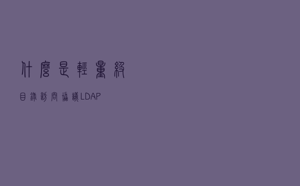 什么是轻量级目录访问协议 LDAP？