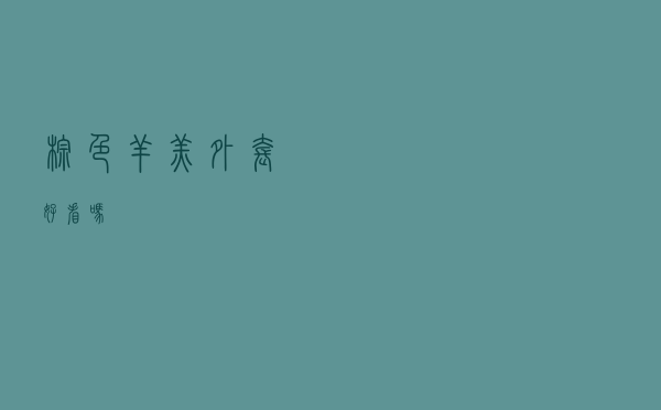 棕色羊羔外套好看吗