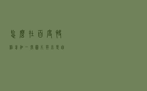 怎么在百度快照前加一张图片，并且是自己的LOGO？