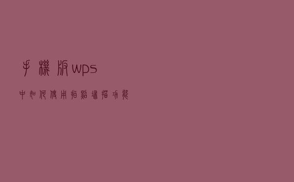 手机版wps中如何使用拍照扫描功能？