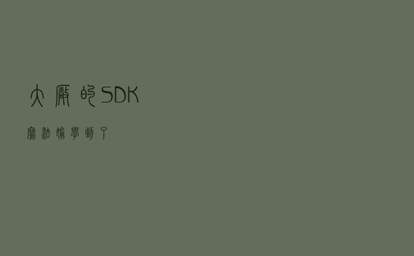 大厂的 SDK 写法，偷学到了