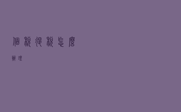 个税退税怎么办理