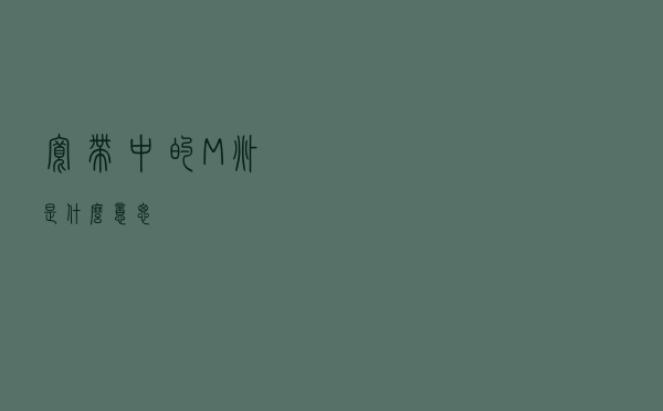 宽带中的“M（兆）”是什么意思？