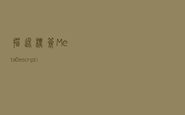描述标签（Meta Description）的SEO优化