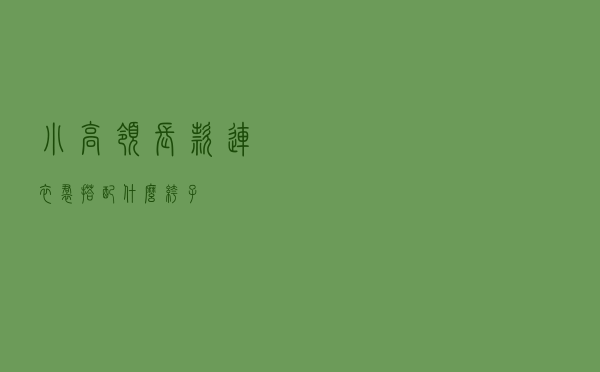 小高领长款连衣裙搭配什么裤子